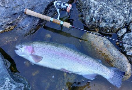 大物を５匹キャッチ！ ～天竜川ルアーフライテンカラ専用区～